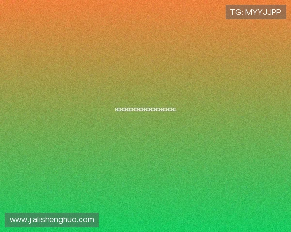 德甲球迷文化深度解析：激情氛围与独特传统的完美交融